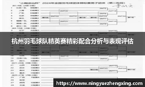 杭州羽毛球队精英赛精彩配合分析与表现评估