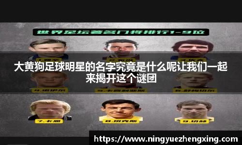 大黄狗足球明星的名字究竟是什么呢让我们一起来揭开这个谜团